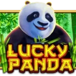 casino game Myanmar Lucky panda