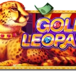 Play Star game Gold Leopard