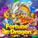 Fortune Dragon